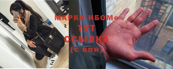 СК Дмитров
