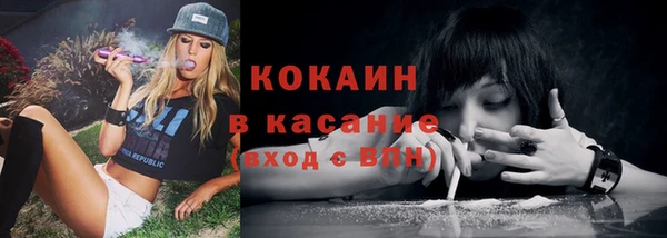 гашик Дмитровск