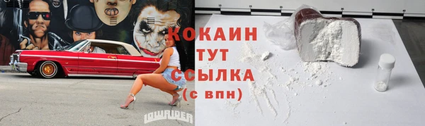дживик Елабуга