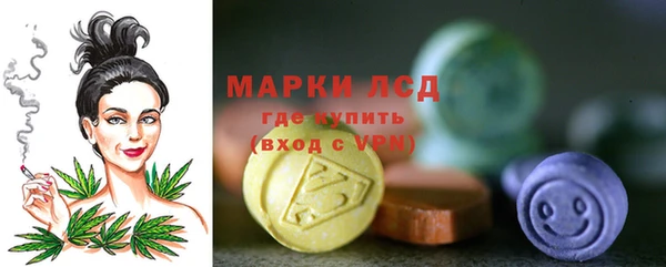 гашик Дмитровск
