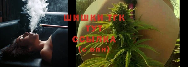 СК Дмитров