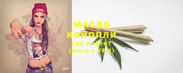 СК Дмитров