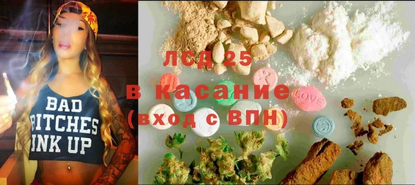 гашик Дмитровск