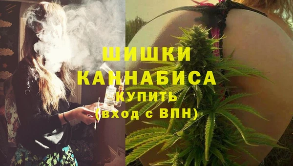гашик Дмитровск