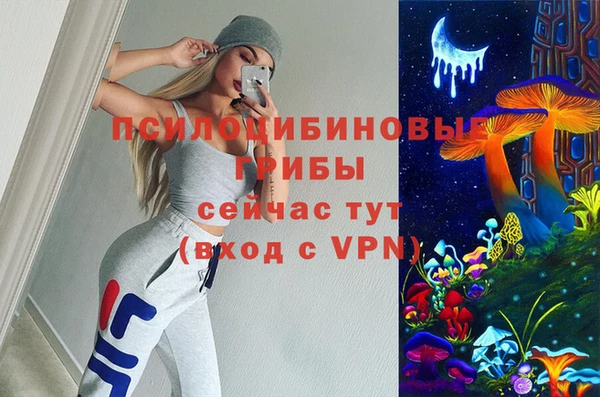 Альфа ПВП Елизово