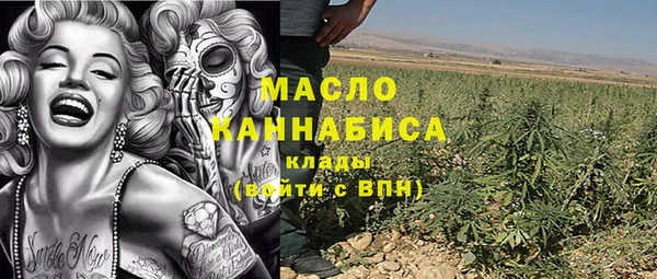 СК Дмитров