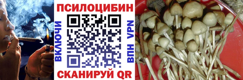 Псилоцибиновые грибы прущие грибы Купить Калининск